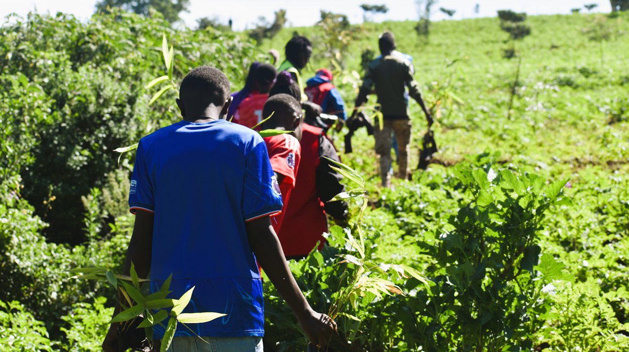 Community-Led Action